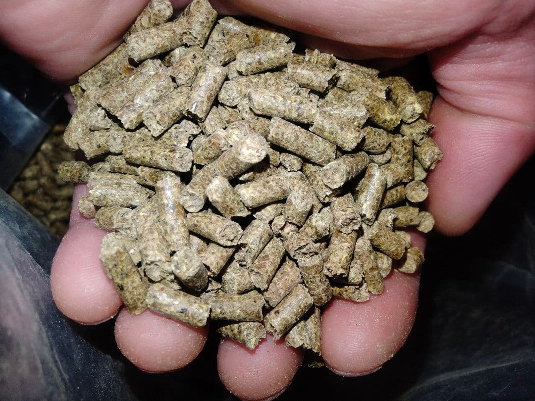 Mazuri チンチラ ダイエット　5M01　　　　　11.34kg