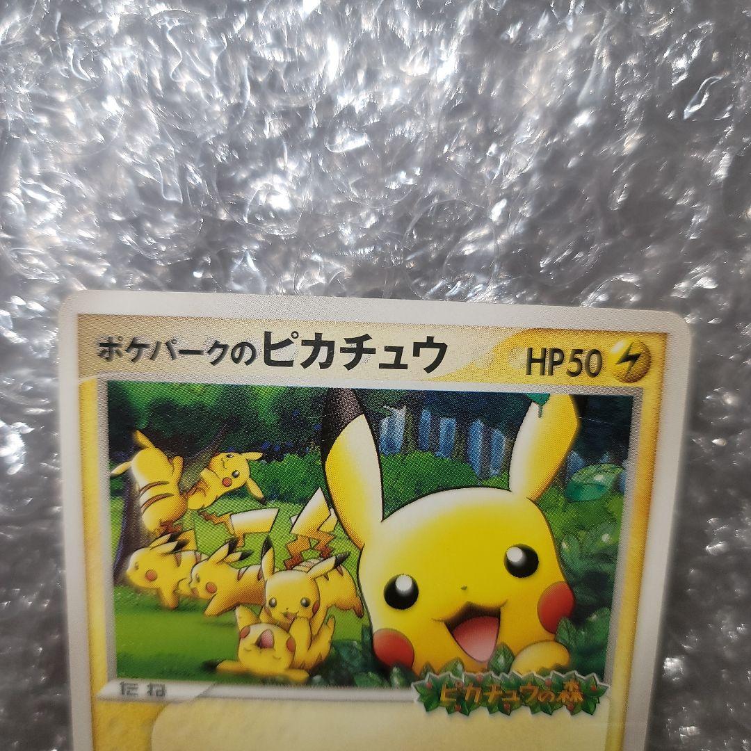 ポケパークのピカチュウ　プロモ