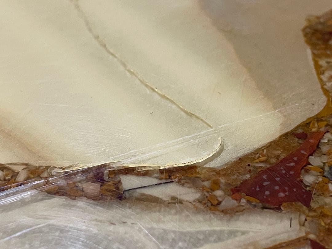 Muller's Onix コーヒーテーブル　HECHO EN MEXICO