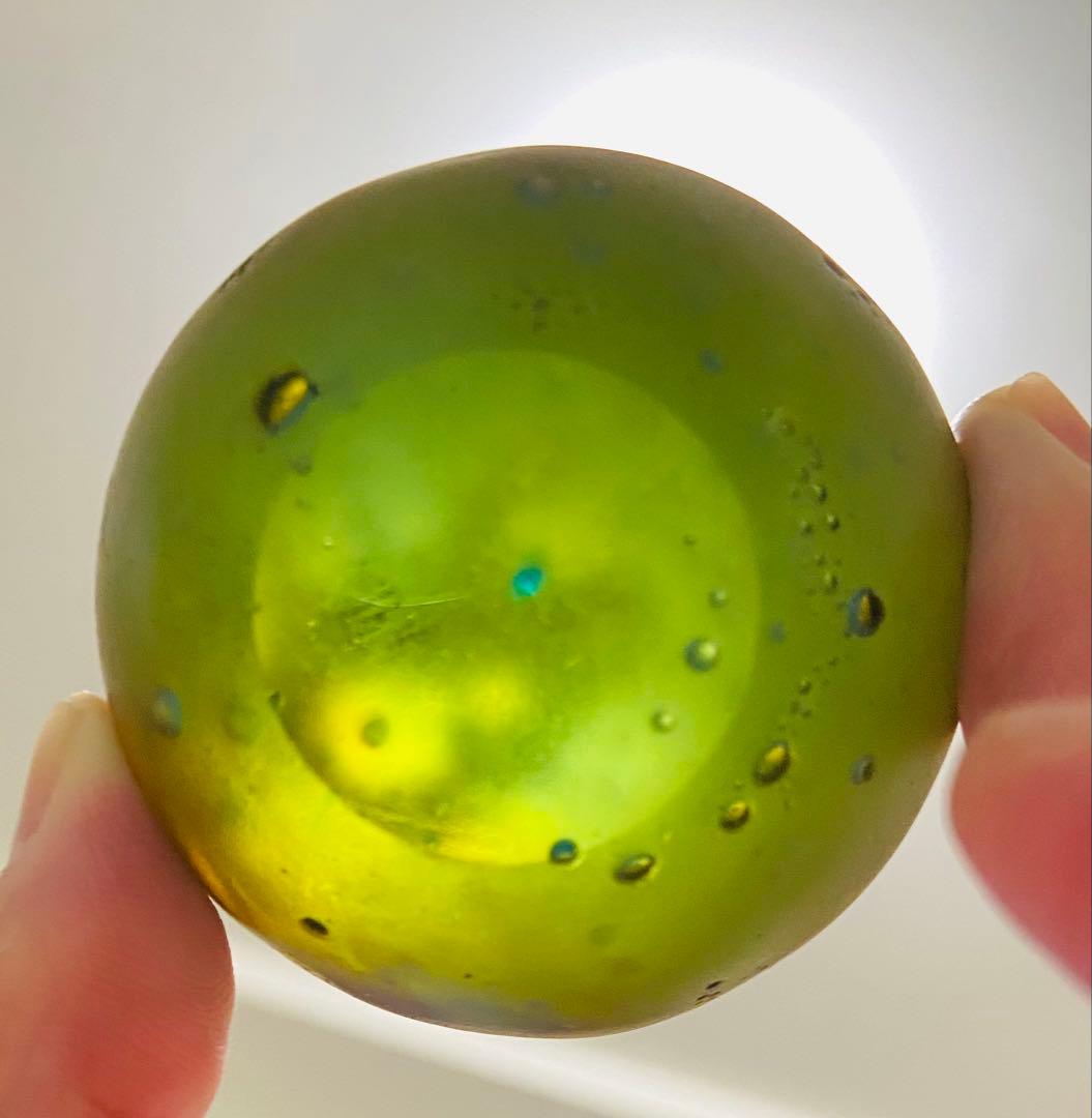 ◆芝崎由華◆ガラス製昆虫オブジェ