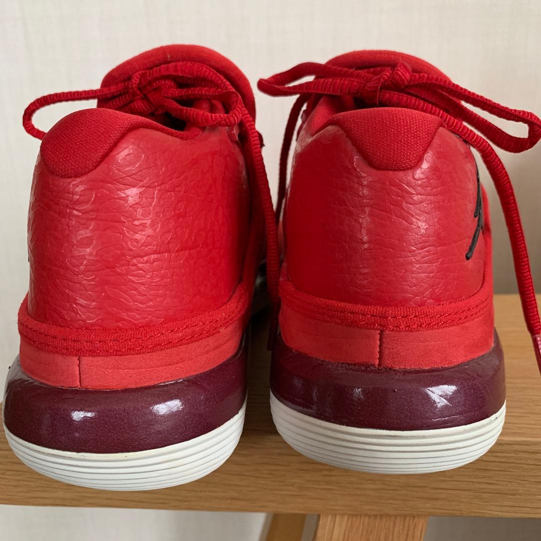 Jordan バスケットボールシューズ 赤