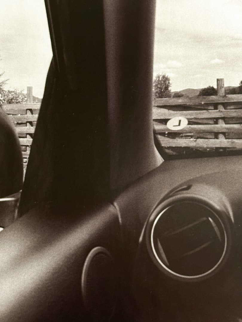 Lee Friedlander ポスター