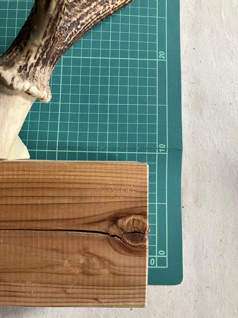 鹿の角　大型ペア　 台座付き　自然素材　一点物　信州森の野生鹿