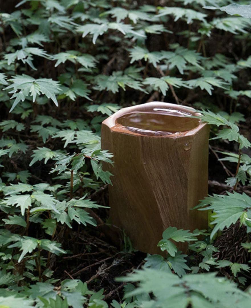 海千山千會　薩摩 コップ 虚