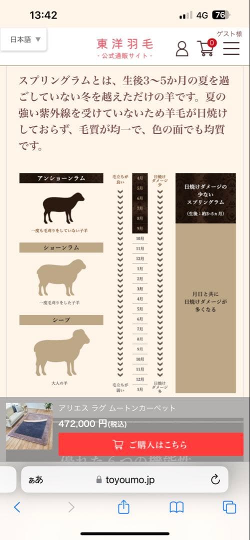 アリス ラグ ムートンカーペット