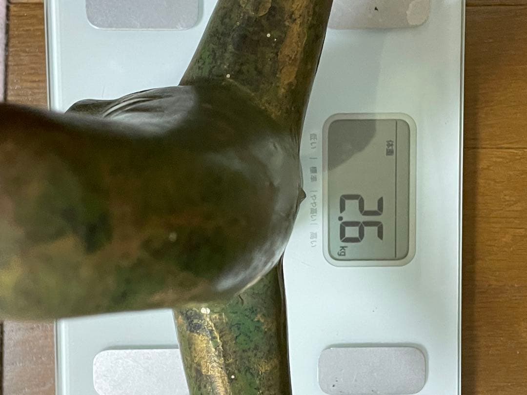 太陽の塔　岡本太郎　１９７０年