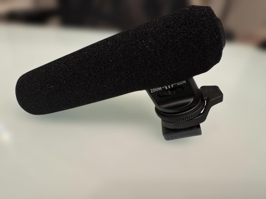 【ほぼ未使用・付属品フル装備】SONY 4K ビデオカメラ FDR-AX60