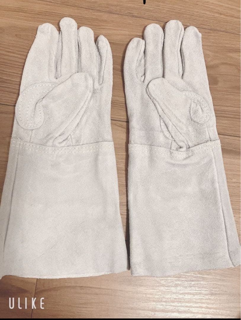 牛革手袋（ロング） 50双セット