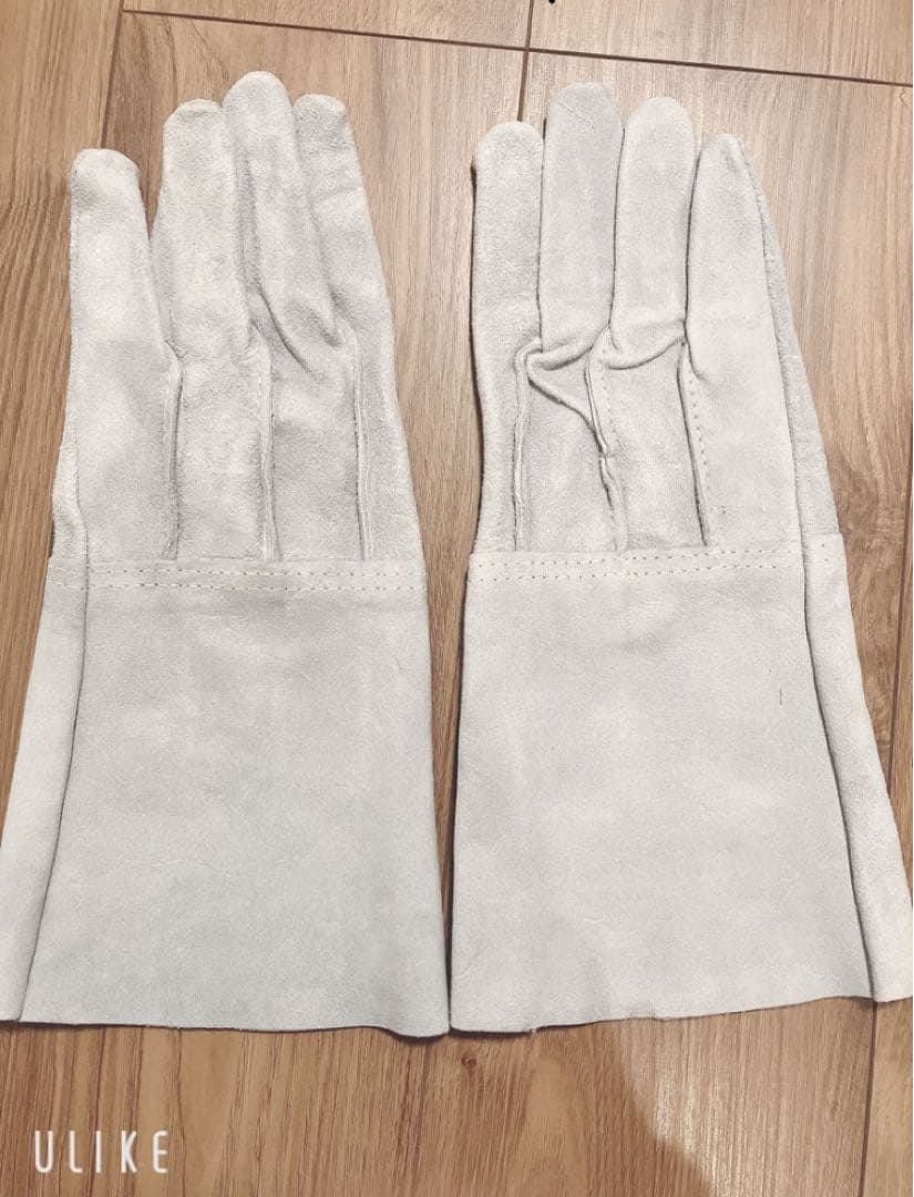 牛革手袋（ロング） 50双セット