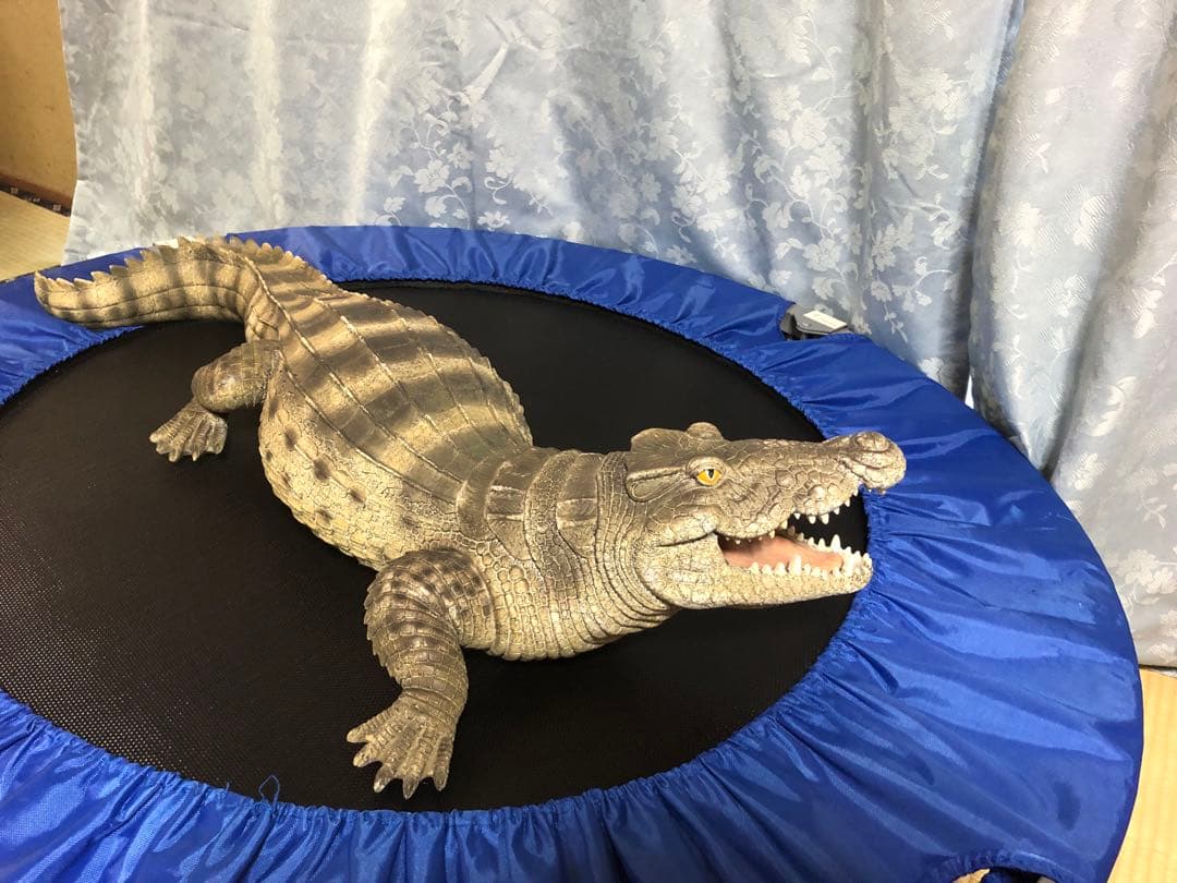リアルなワニの置き物　約60cm