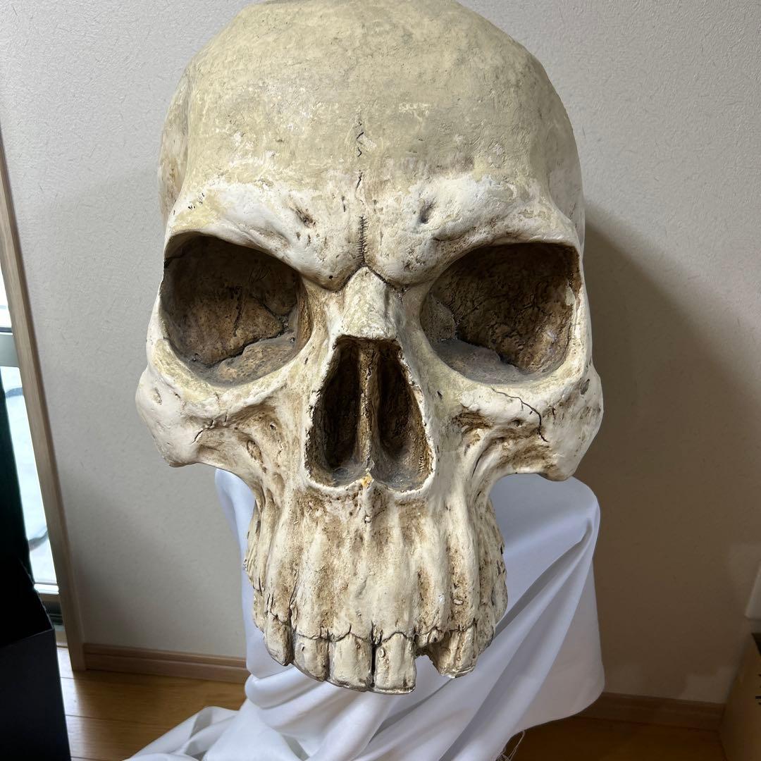 レア巨大スカルデザインのインテリア置物