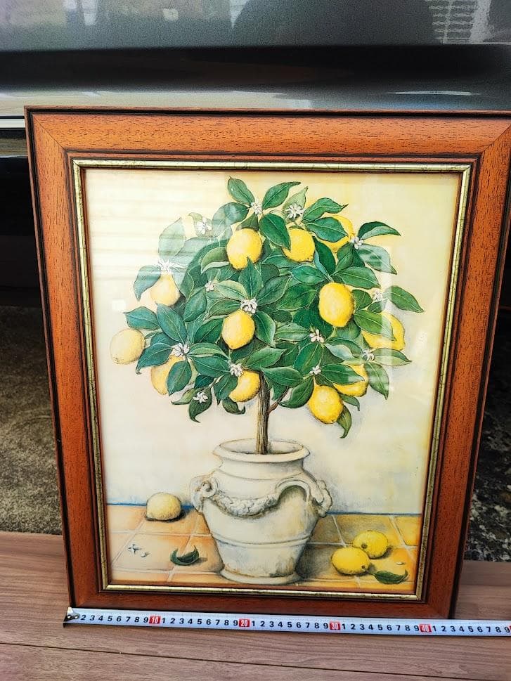 アンティーク　イタリア製　フレーム　レモン　アート　額縁　カントリー　33×44