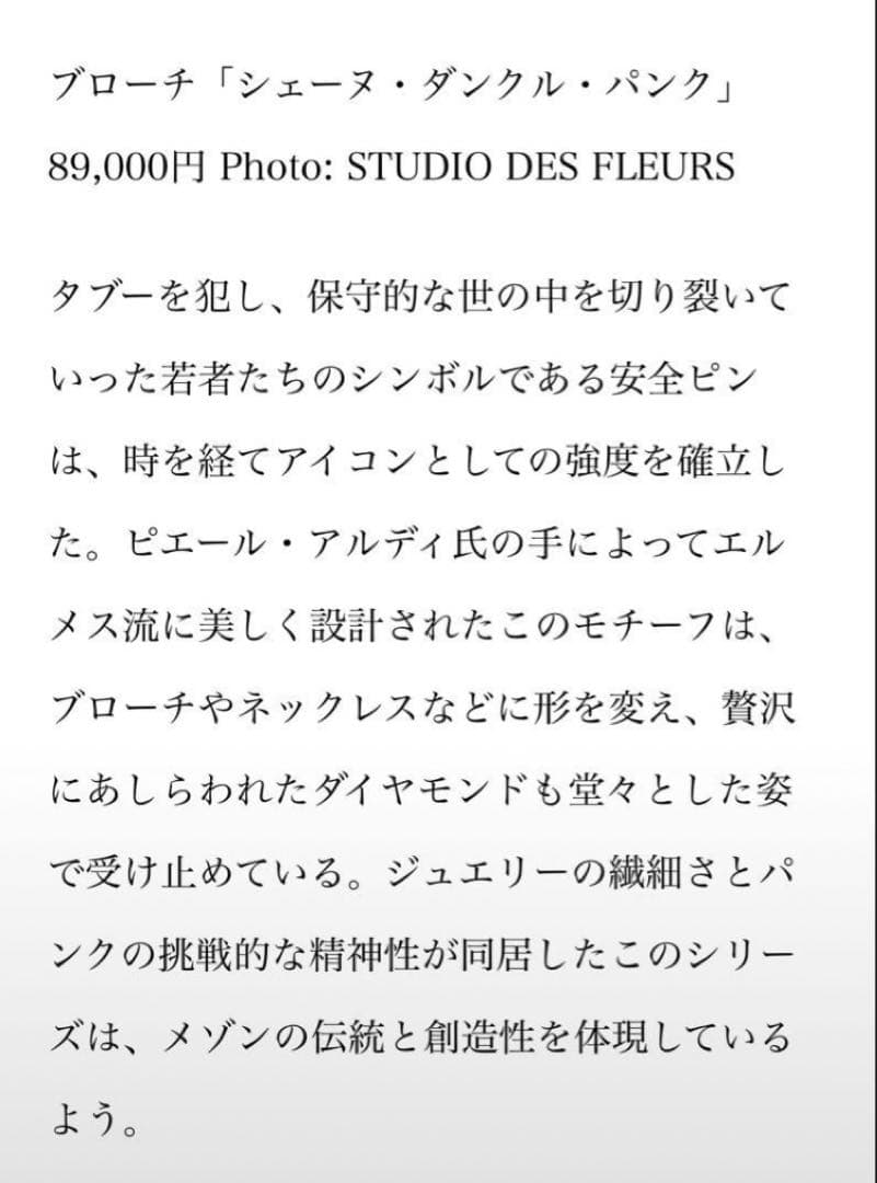 HERMES エルメス シェーヌダンクル パンク ブローチ 藤原ヒロシ 安全ピン