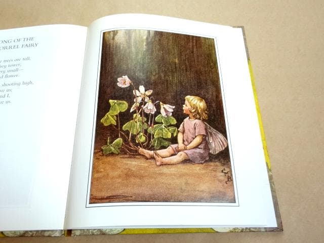 ★ シシリー・メアリー・バーカー 洋書 画集 花の妖精シリーズ 12冊セット ★