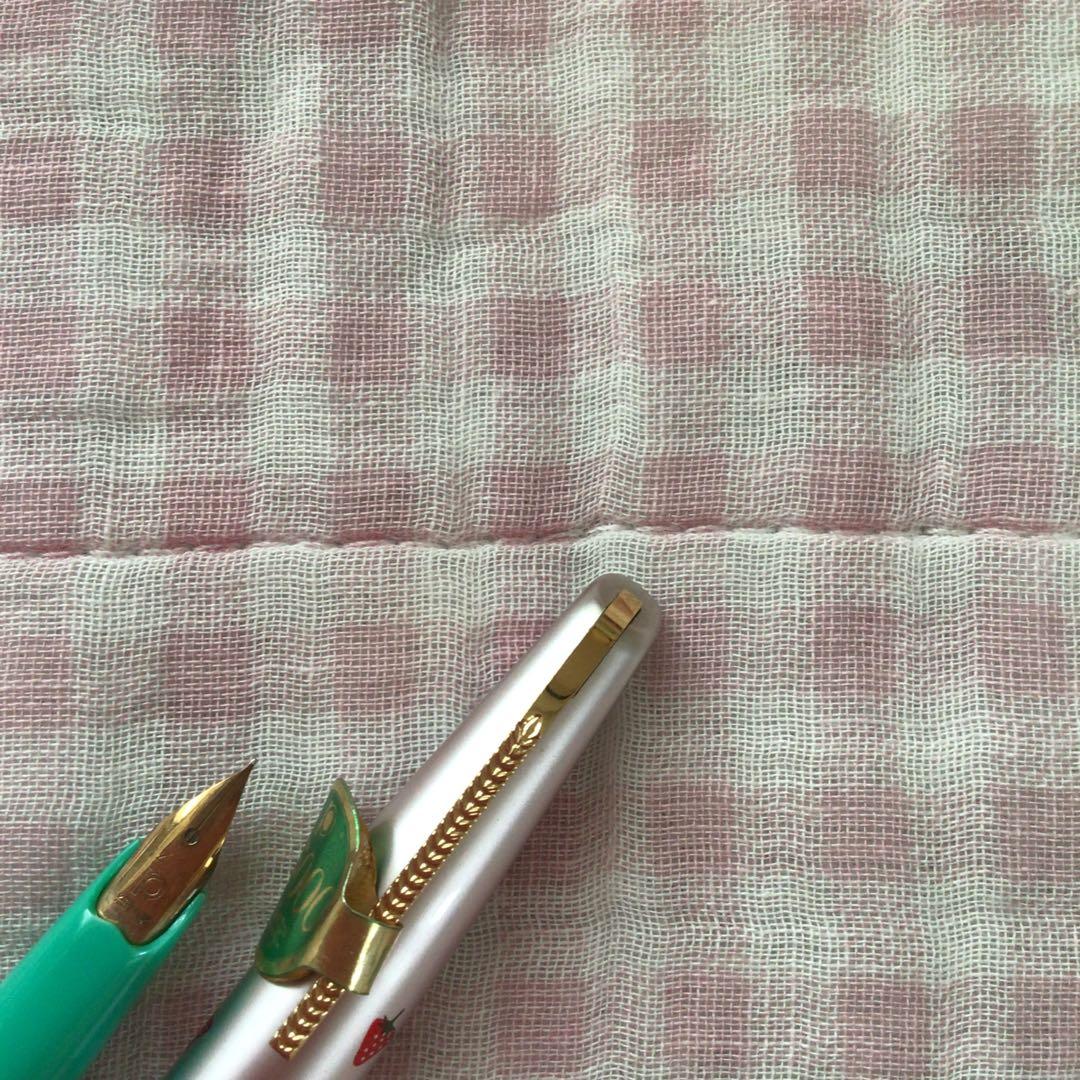 プラチナ 14K 14金 万年筆 ショート 細字 いちご 苺 緑 廃盤
