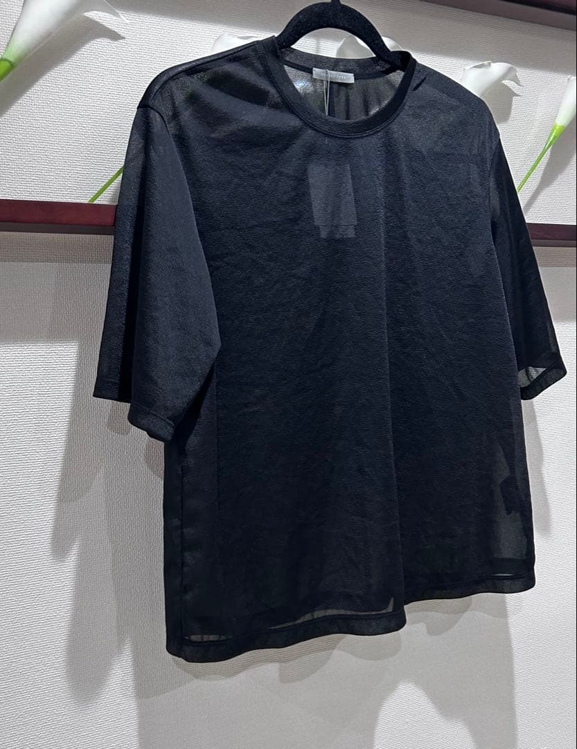 ★新品☆25SS Theory luxe 洗えるシアー素材　Tシャツブラウス