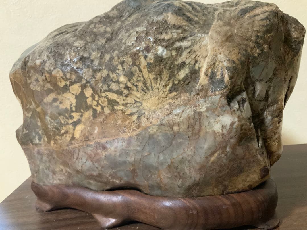 希少岐阜県根尾谷赤倉山菊花石