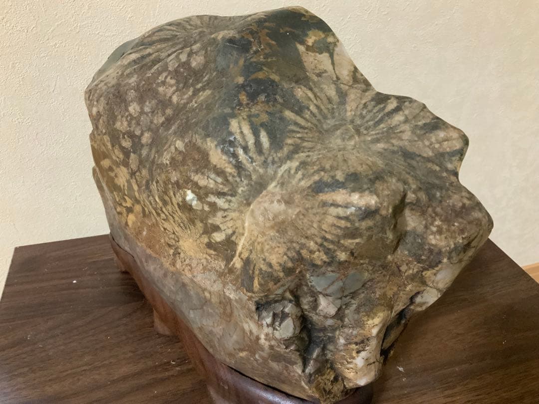 希少岐阜県根尾谷赤倉山菊花石