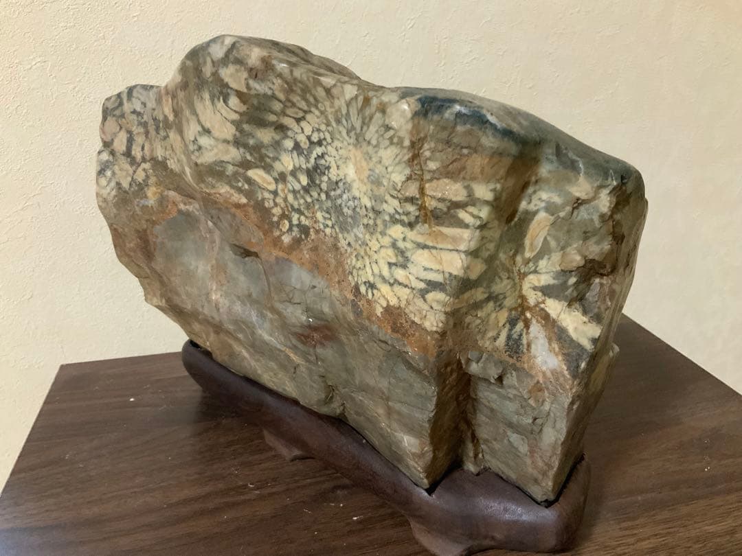 希少岐阜県根尾谷赤倉山菊花石