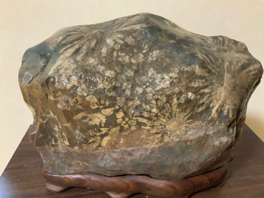 希少岐阜県根尾谷赤倉山菊花石