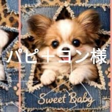 パピ＋ヨン様確認用