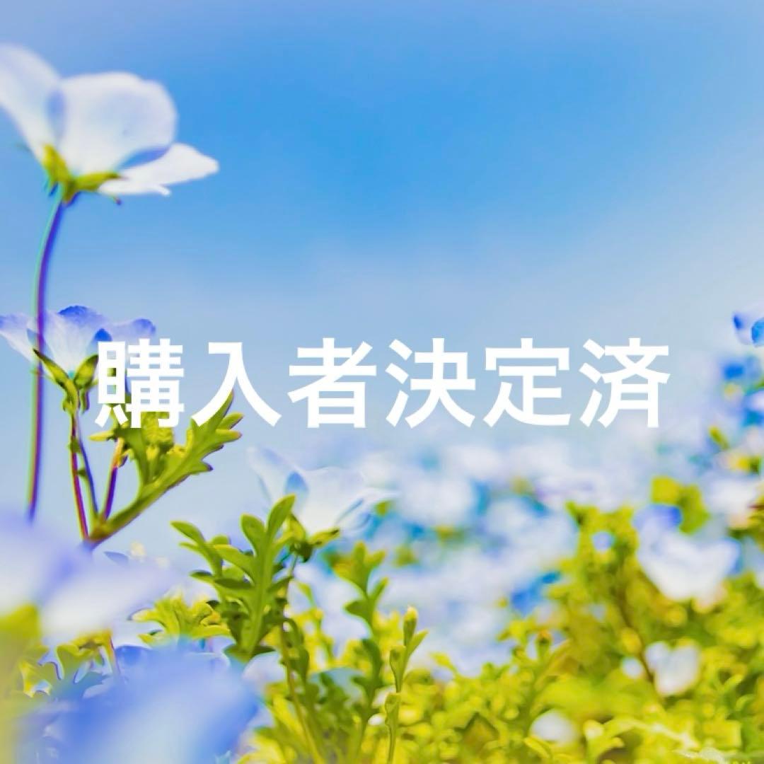 トゥルースリーパー プレミアムリッチｐr2　セミダブル　特別セット