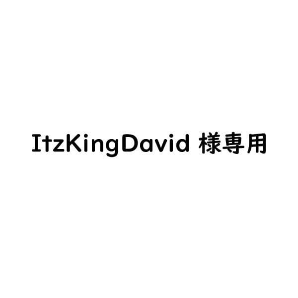 ItzKingDavid　確認用