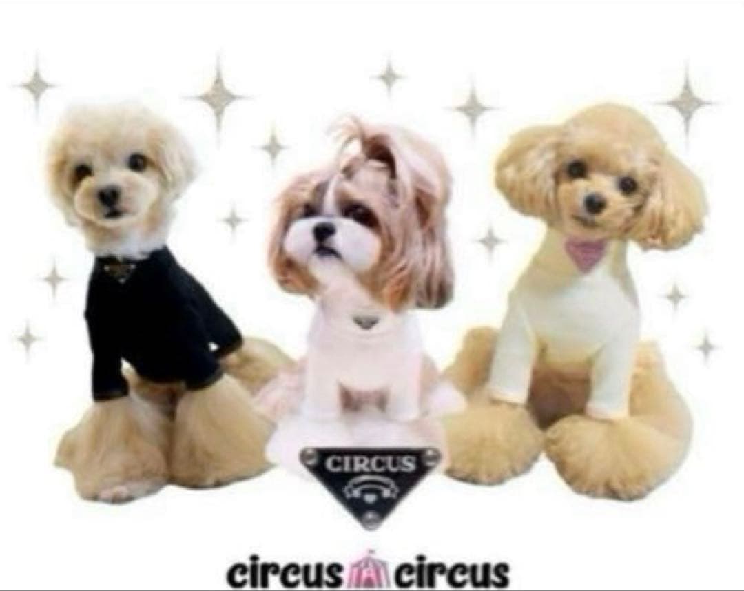 サーカスサーカスChic padding OP ＋Chic T 黒2点セット