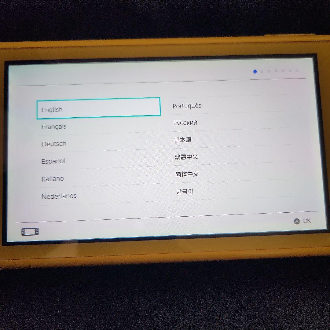 日曜日限定値下げ✩.*˚ジャンク品 Nintendo Switch Lite