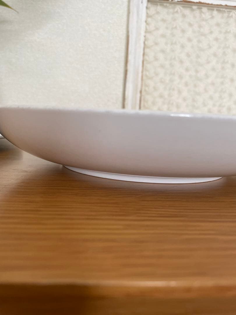   メガディープ　プレート　 25センチ　２枚組