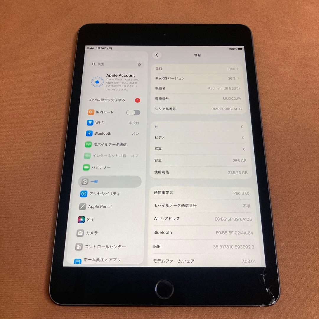 392【早い者勝ち】電池最良好☆iPad mini5 256GB SIMフリー☆
