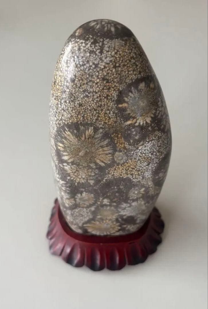 菊花石 木製台座付き