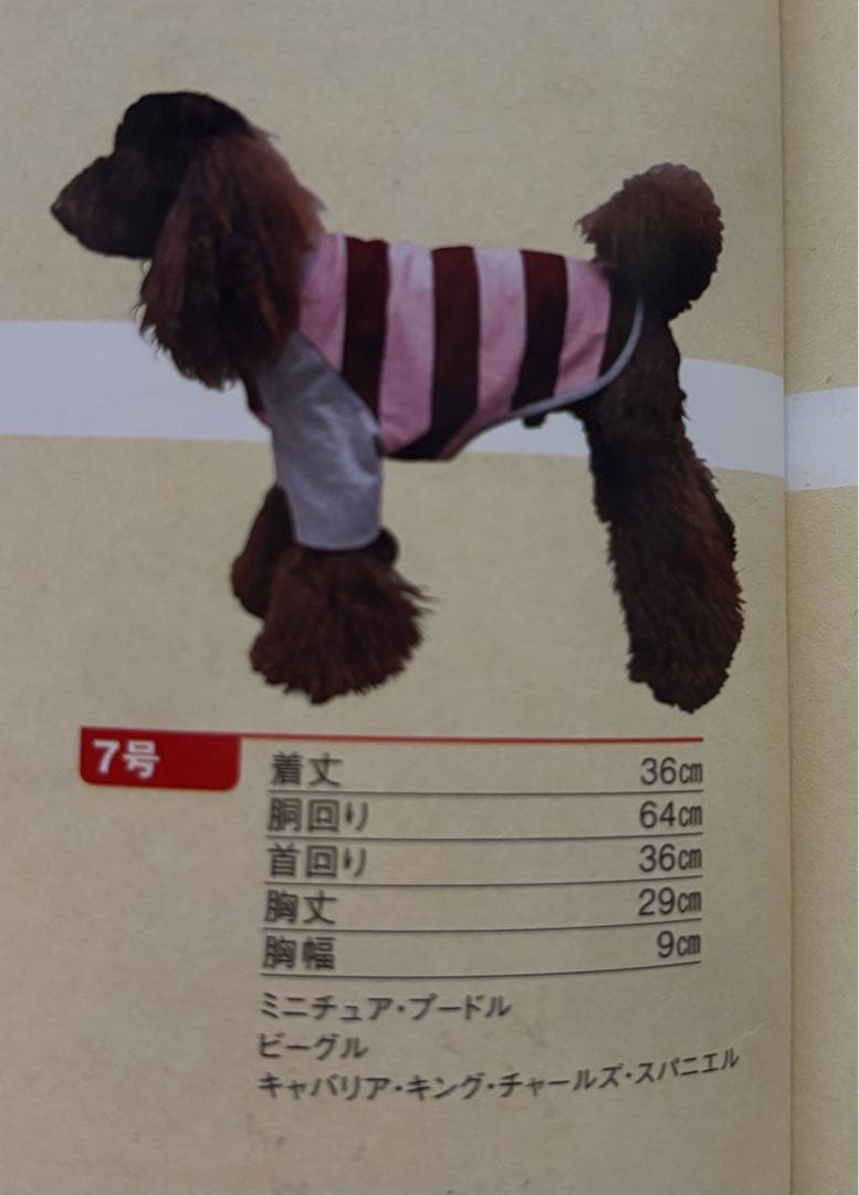 (˙ᴥ˙)様⭐︎専用ページ