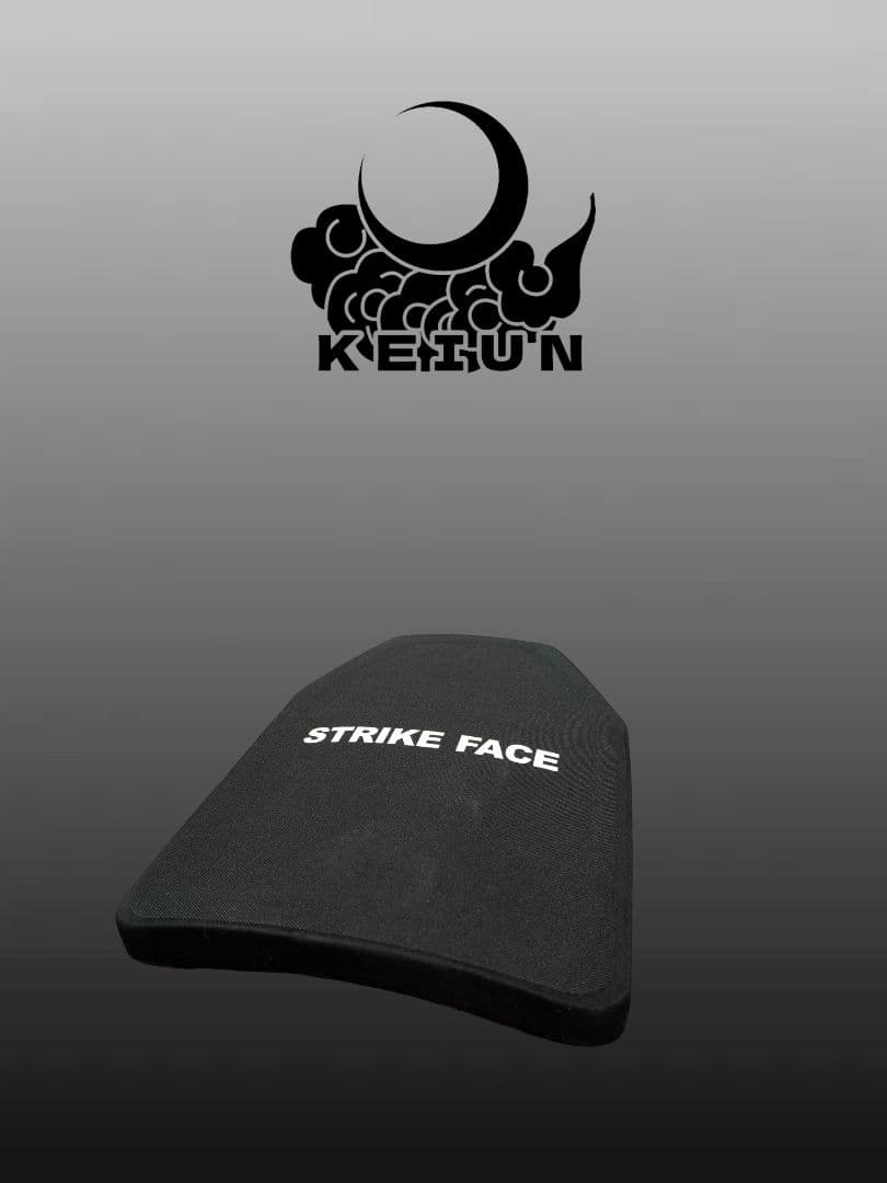 KEIUN　自衛官割有り　Mサイズ　level4　防弾プレート　sapi　実物