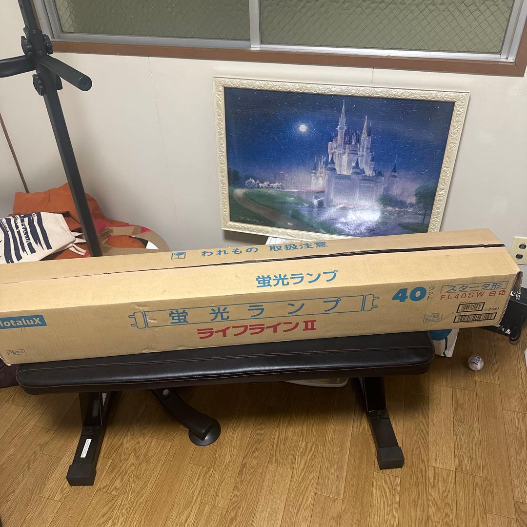 蛍光ランプ ライトラインII 40W