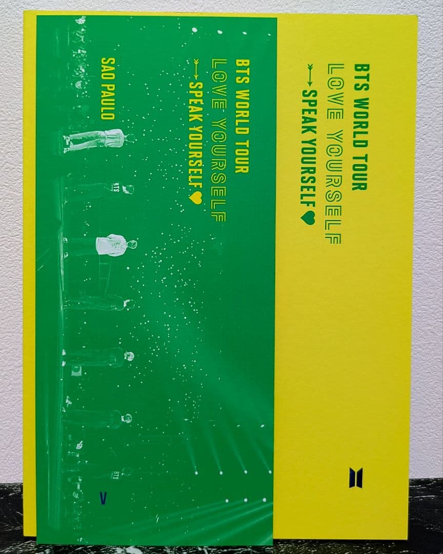 【みけねこちゃこちゃん】BTS サンパウロ ランダム V