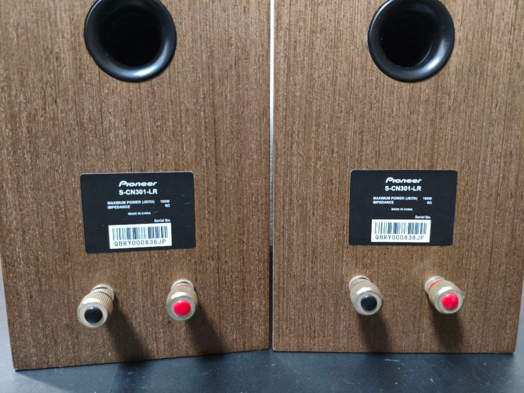 パイオニア S-CN301-LR 2ウェイスピーカーシステム Pioneer