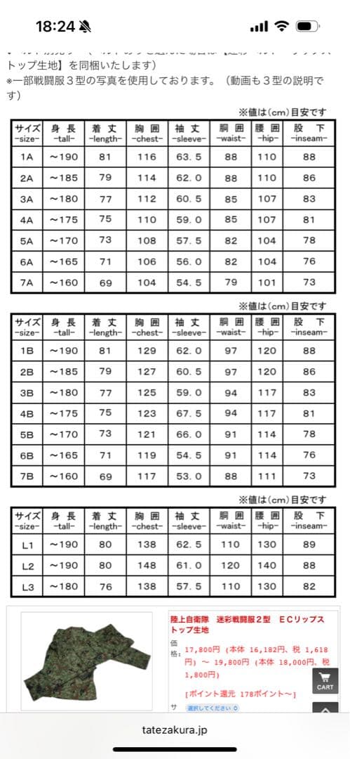 【レン】楯桜迷彩戦闘服2型　チェックリストリグ、88式鉄帽付き