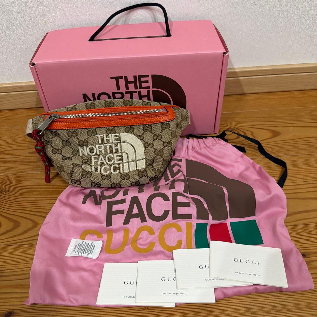 【入手困難　超美品】THE NORTH FACE x GUCCI コラボ