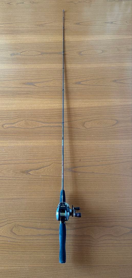 バスロッド　TEAM DAIWA