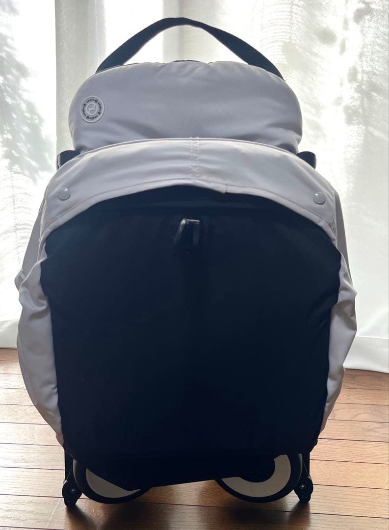 サイベックス　リベル　2024 フォググレー(土日祝発送✖️)