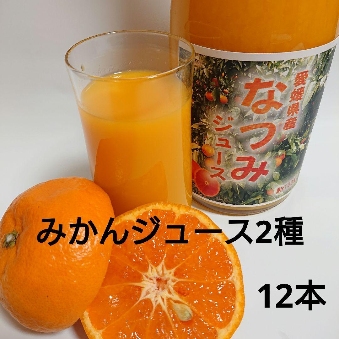 愛媛県産みかんジュース2種詰め合わせ 720ml 12本セット