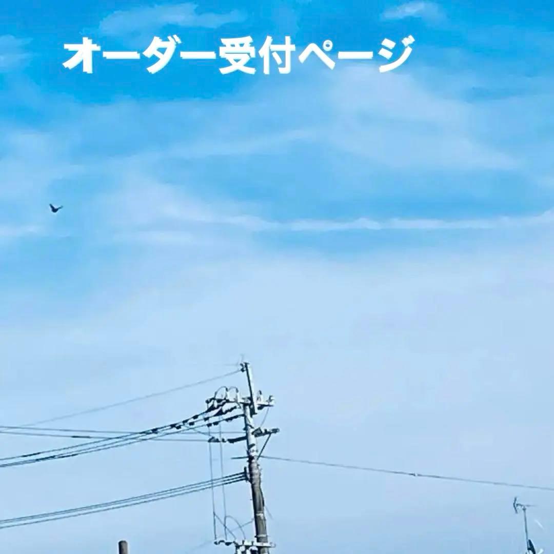 オーダー受付ページ