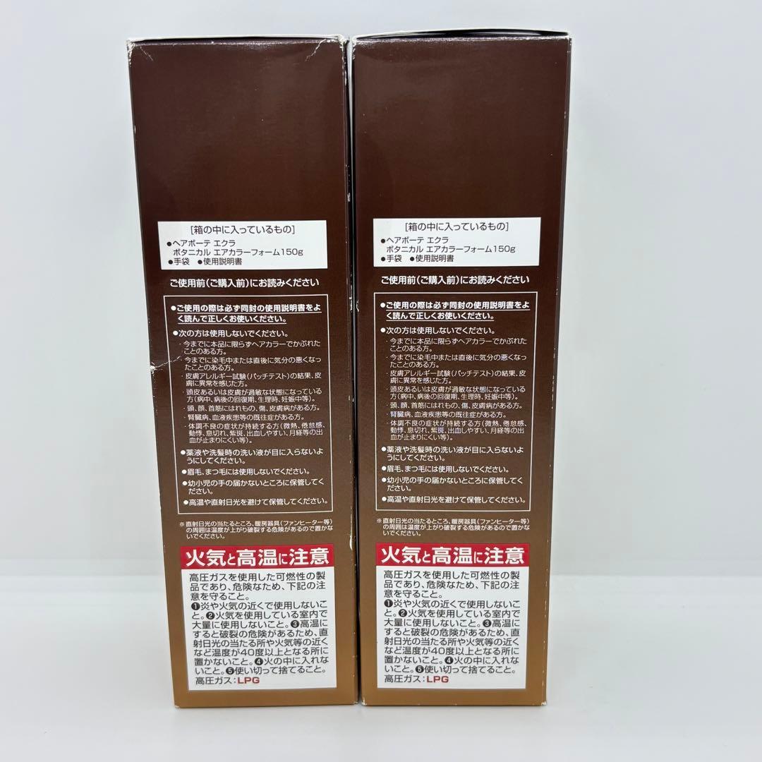 ⭐️未使用⭐️ボタニカルエアカラーフォーム ダークブラウン2点セット