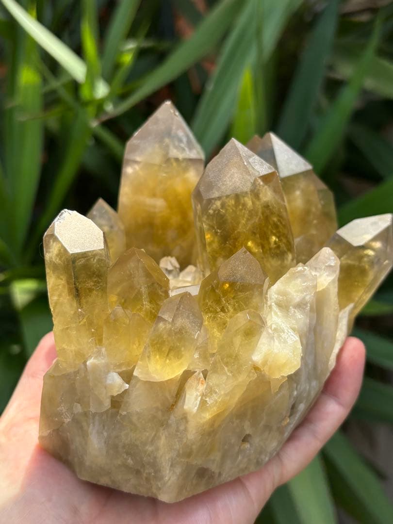 ブラジル産シトリンクラスター1888g 立派　ファントムあり　迫力　ポイント太い