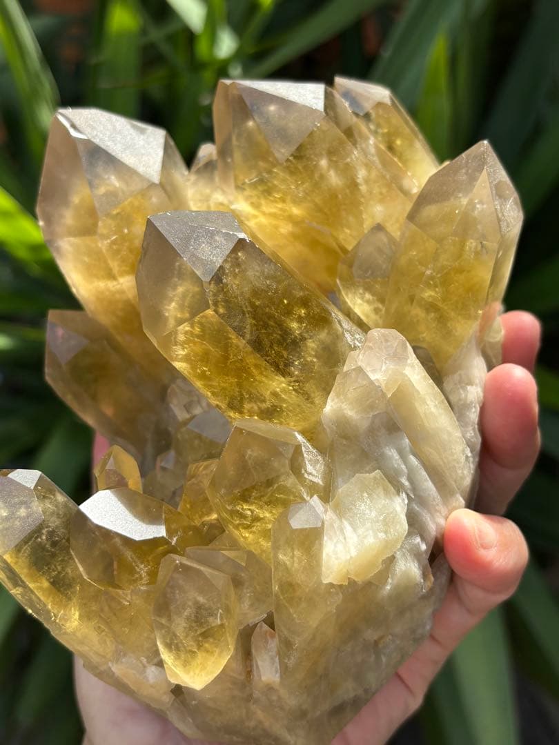 ブラジル産シトリンクラスター1888g 立派　ファントムあり　迫力　ポイント太い