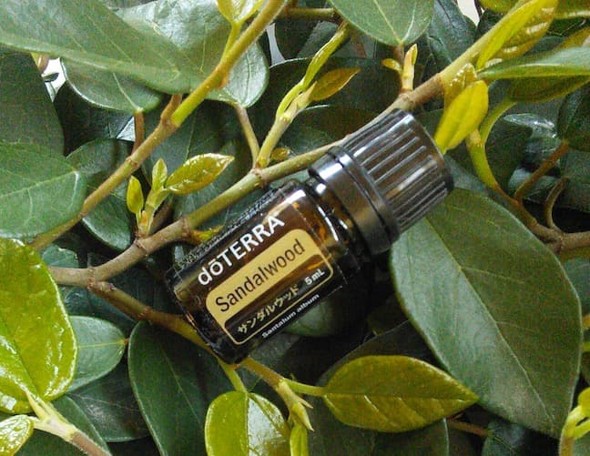 【新品 未開封 最安】ドテラ doTERRA サンダルウッド 5ml 期27.6