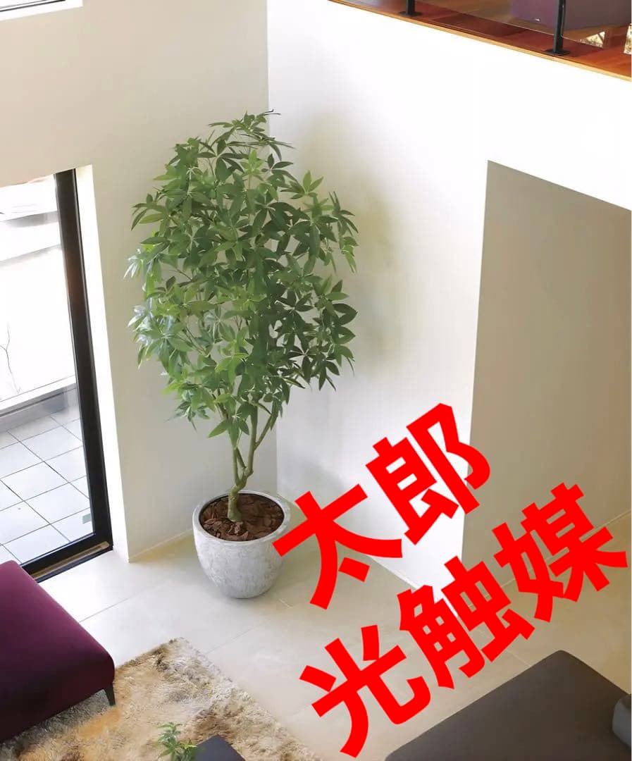 光触媒　人工観葉植物　フェイクグリーン　ナチュラルパキラ2.5