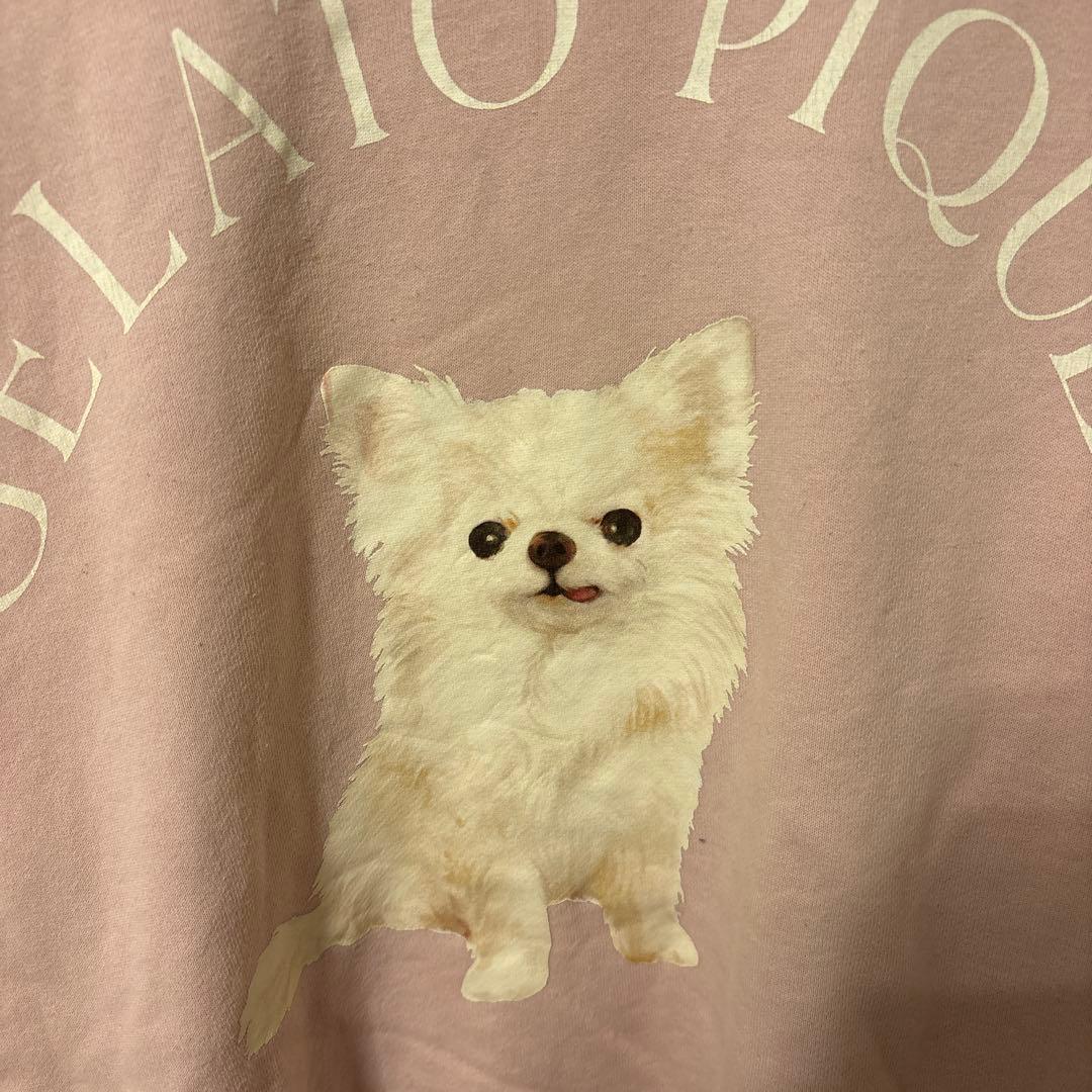 ジェラートピケ　DOG柄　チワワ　セットアップ　プルオーバー・パンツ