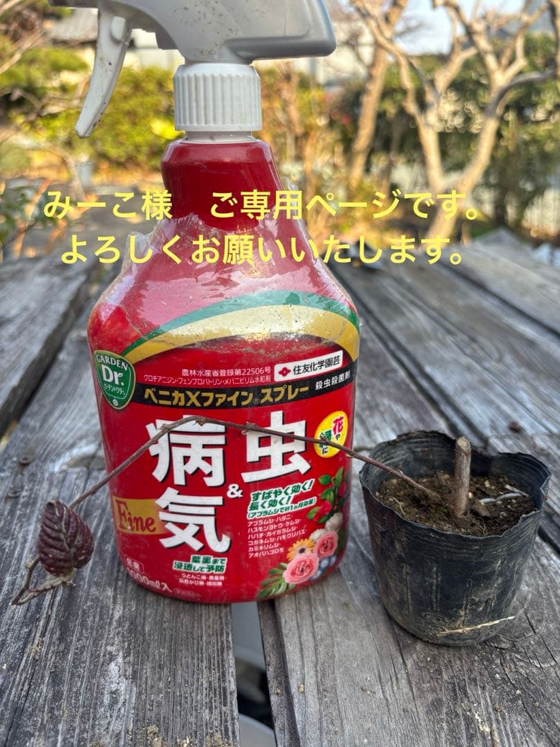 ブラックベリー　ご確認用です。